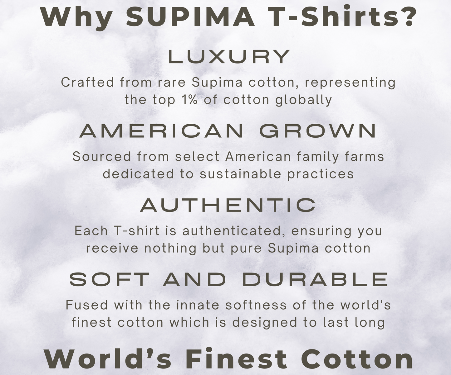 SUPIMA : Beige T-Shirt