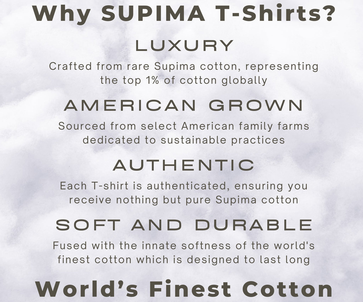 SUPIMA : Maroon T-Shirt - TranquilTrendz