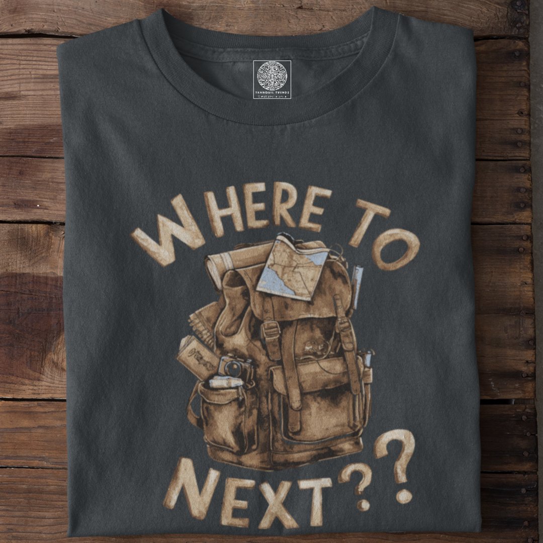 Where to Next? - Explorer's Query - TranquilTrendz